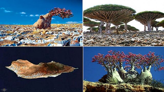Самые поразительные геологические чудеса на Земле Самые поразительные геологические чудеса на Земле
