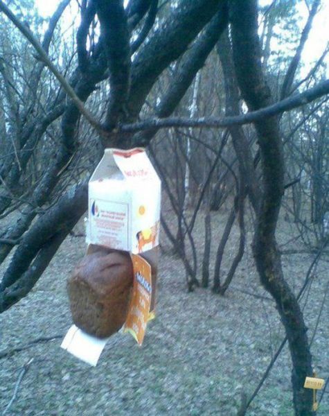 Прикольные картинки