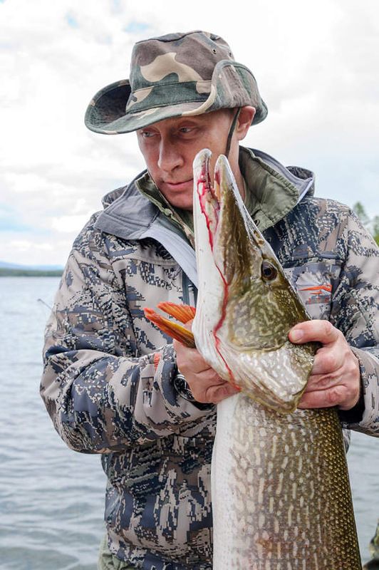 "Чуровская" щука Путина