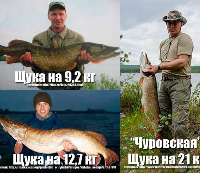 "Чуровская" щука Путина