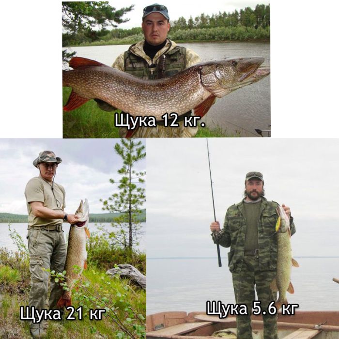 "Чуровская" щука Путина