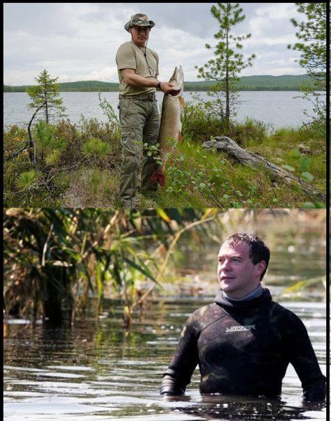 "Чуровская" щука Путина