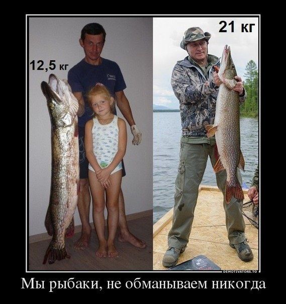 "Чуровская" щука Путина