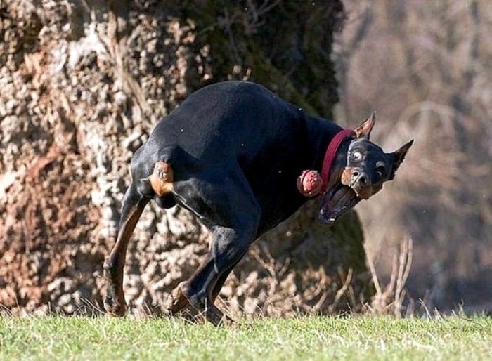 Фотографии, которые заставят вас улыбнуться
