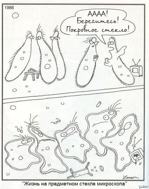 Смешные комиксы