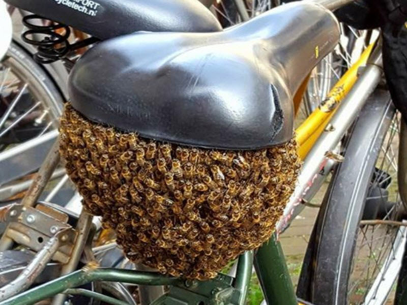 Бывают в жизни огорчения