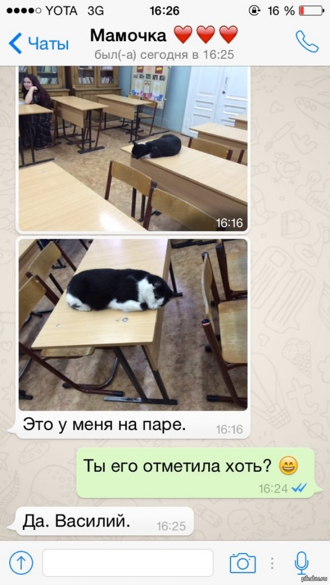 25 учителей, которые слишком круты для своей работы 25 учителей, которые слишком круты для своей работы