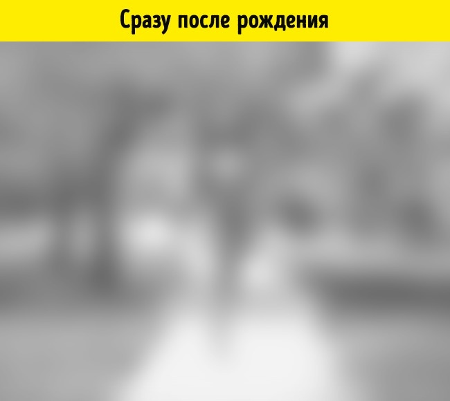 Как видят мир люди в 15 разных состояниях Как видят мир люди в 15 разных состояниях