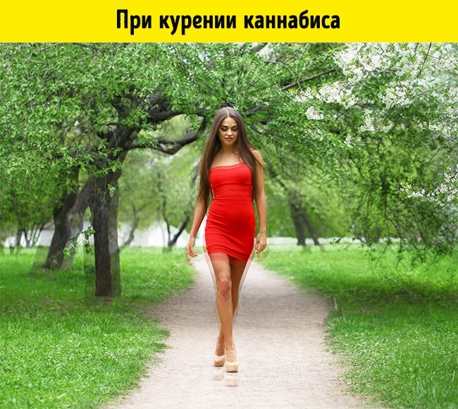 Как видят мир люди в 15 разных состояниях Как видят мир люди в 15 разных состояниях