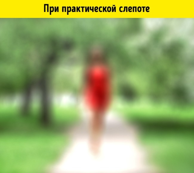 Как видят мир люди в 15 разных состояниях Как видят мир люди в 15 разных состояниях