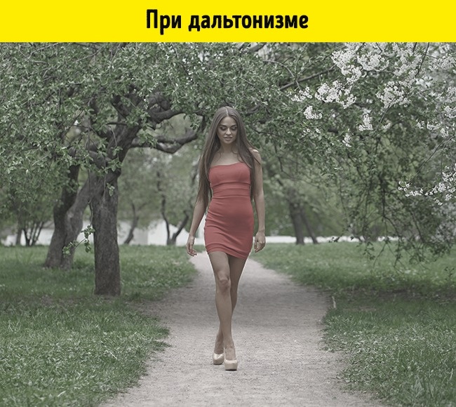 Как видят мир люди в 15 разных состояниях Как видят мир люди в 15 разных состояниях