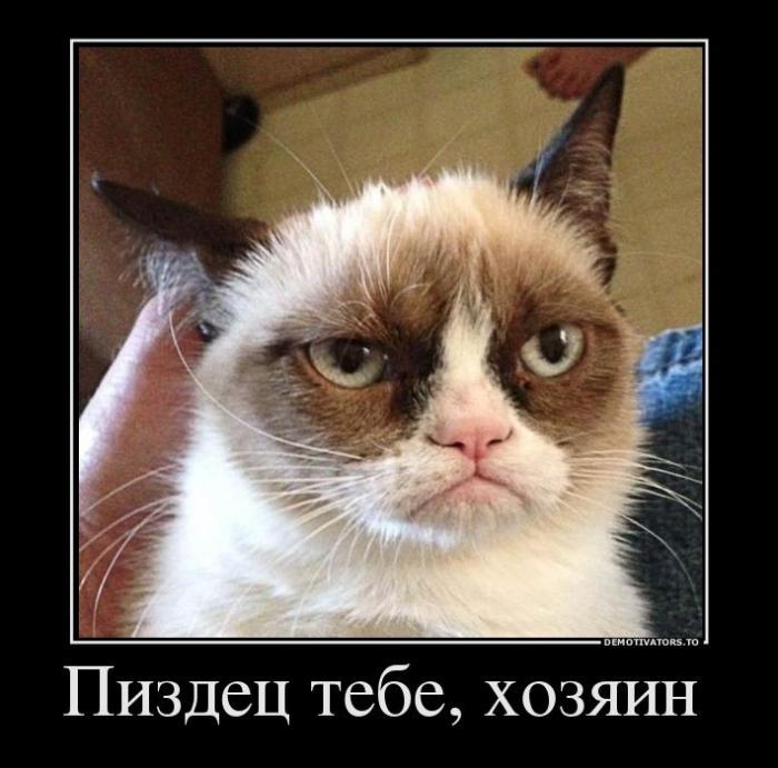 Демотиваторы (70 фото)