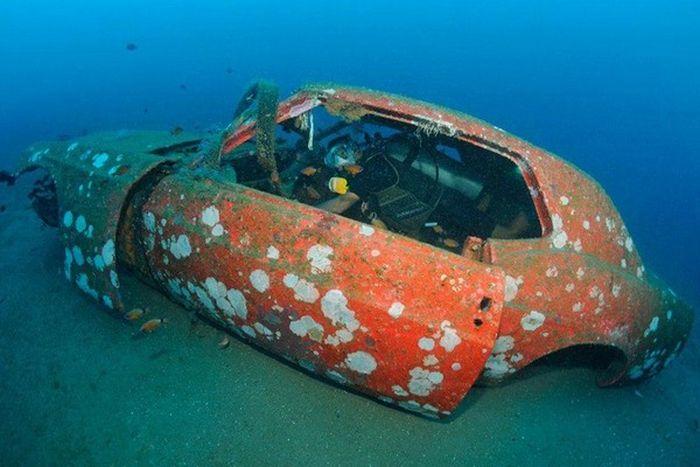 Рифы из затопленных автомобилей (28 фото)