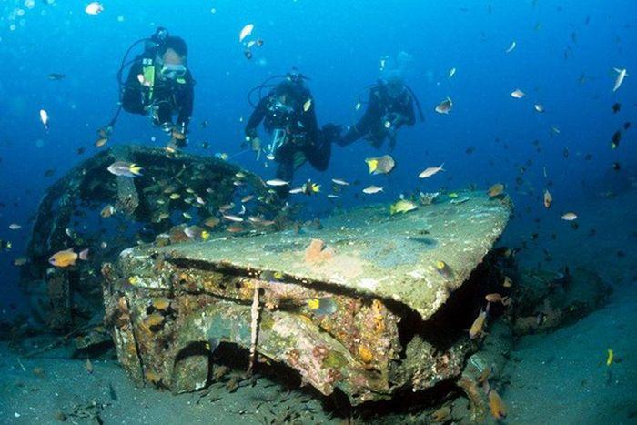 Рифы из затопленных автомобилей (28 фото)