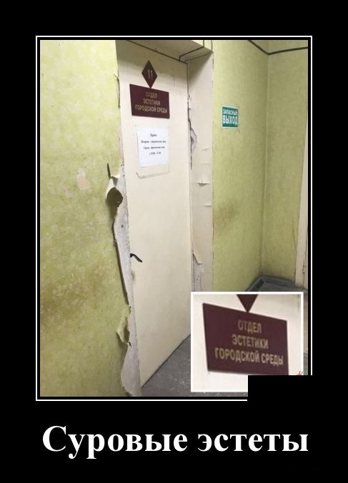 Демотиваторы