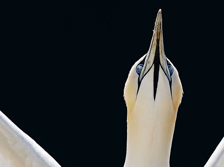 National Geographic: лучшие фотографии октября
