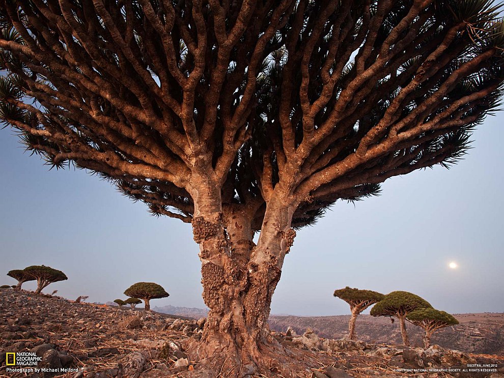 National Geographic: лучшие фотографии октября