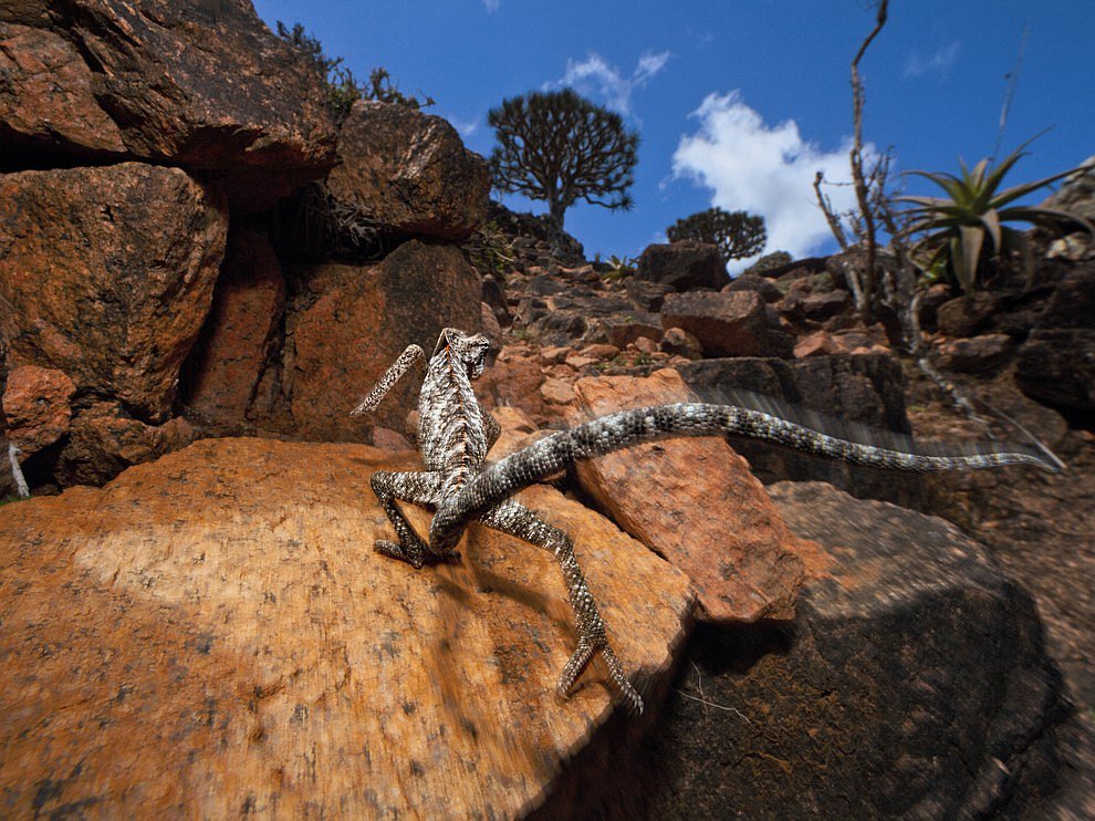 National Geographic: лучшие фотографии октября