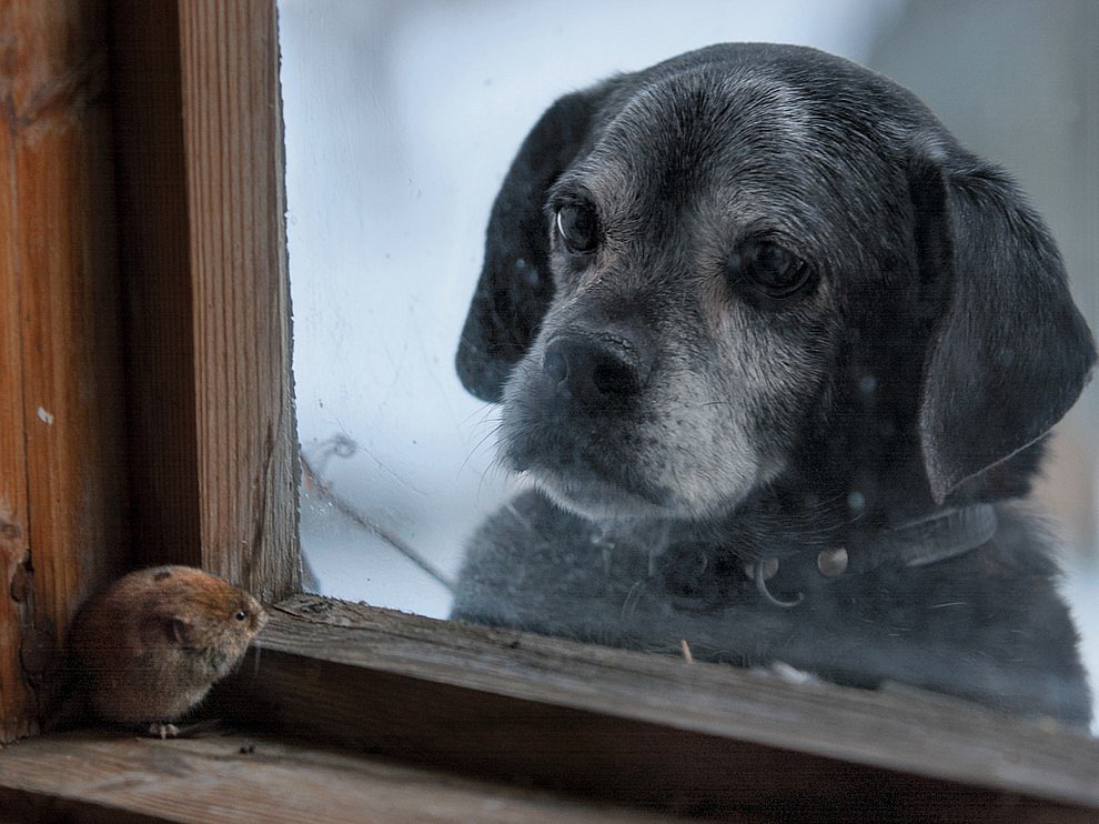 National Geographic: лучшие фотографии октября