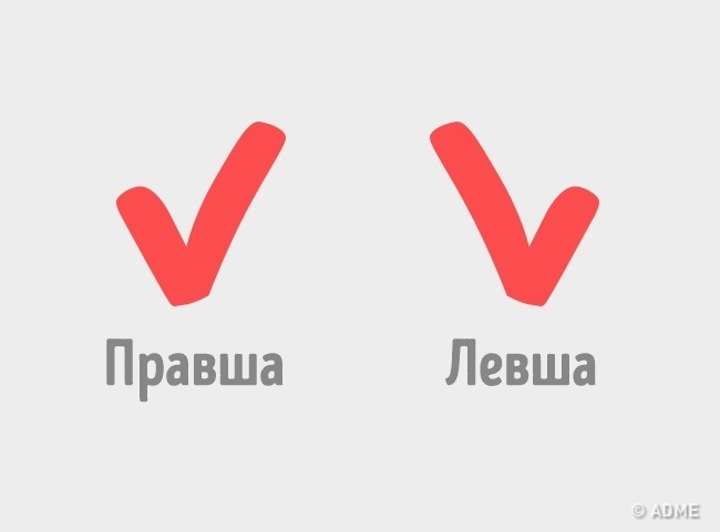 12 доказательств, что этот мир создан для правшей 12 доказательств, что этот мир создан для правшей