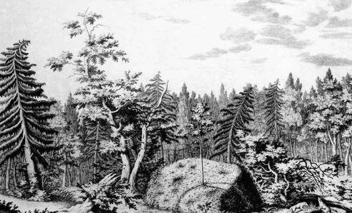 История и загадки Гром-камня История и загадки Гром-камня