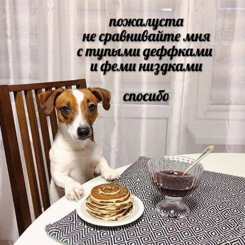 Нестандартный юмор с просторов сети