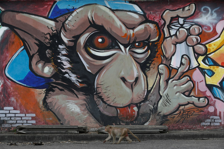 Monkey Buffet Festival: пир для обезьян Monkey Buffet Festival: пир для обезьян