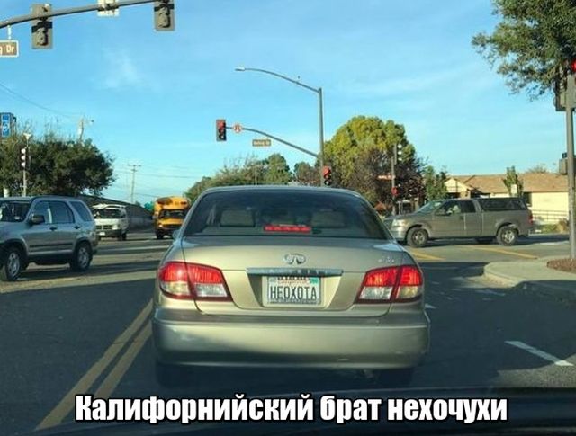 Прикольные картинки