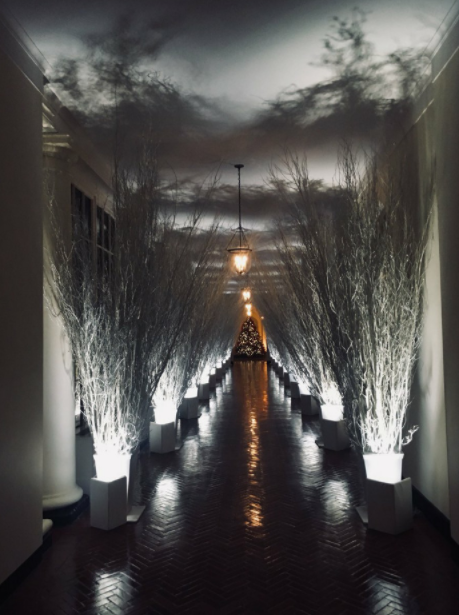 В Интернете появились мемы на тему украшений Белого дома от Мелании Трамп В Интернете появились мемы на тему украшений Белого дома от Мелании Трамп