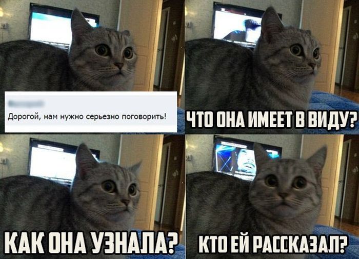 Порция картинок