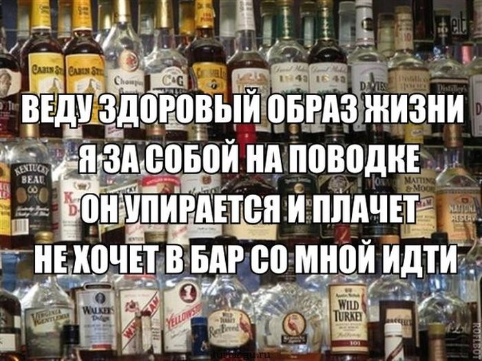 Порция картинок