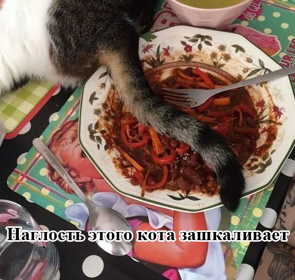 Порция картинок