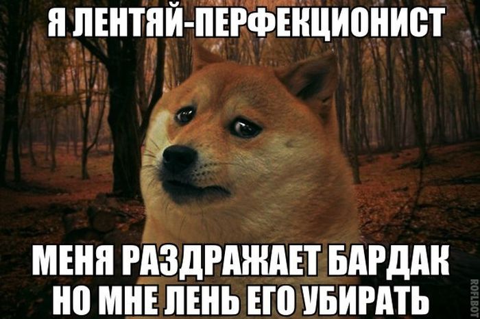 Порция картинок