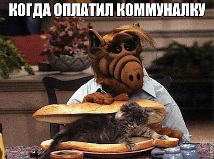 Прикольные картинки