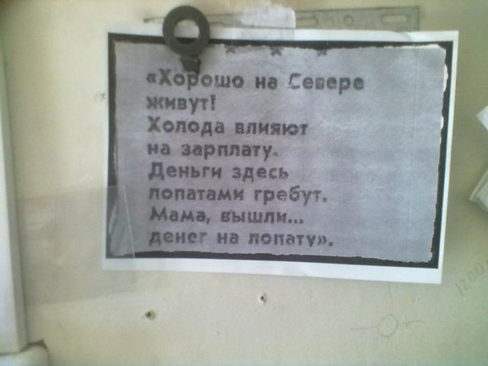 Прикольные картинки