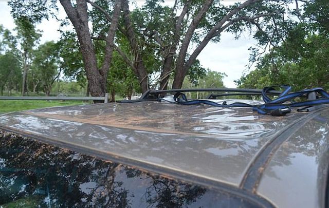 Туристы провели ночь на крыше авто, спасаясь от крокодилов
