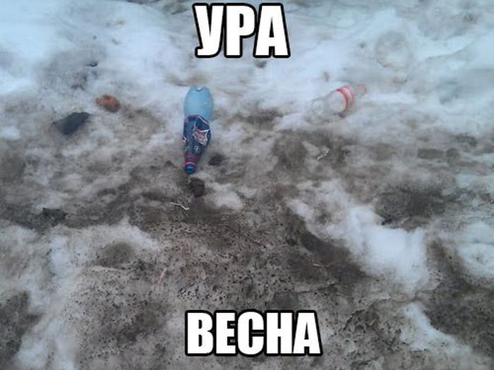 Порция картинок