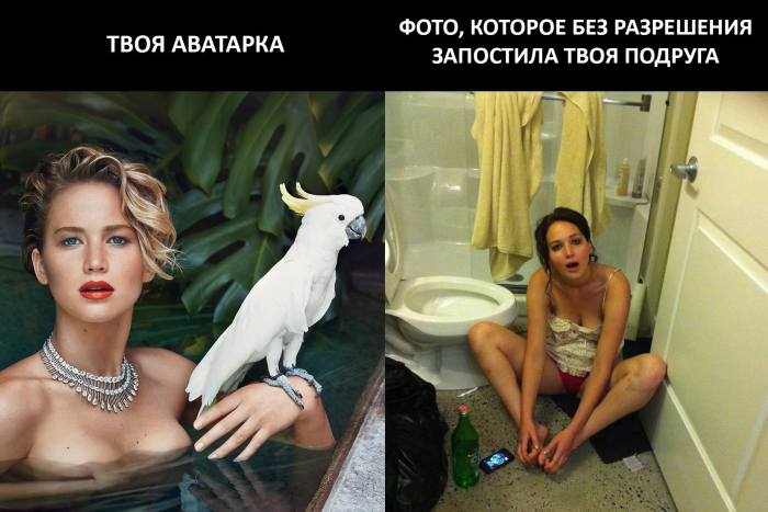 Порция картинок
