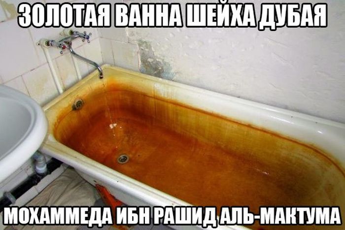 Порция картинок