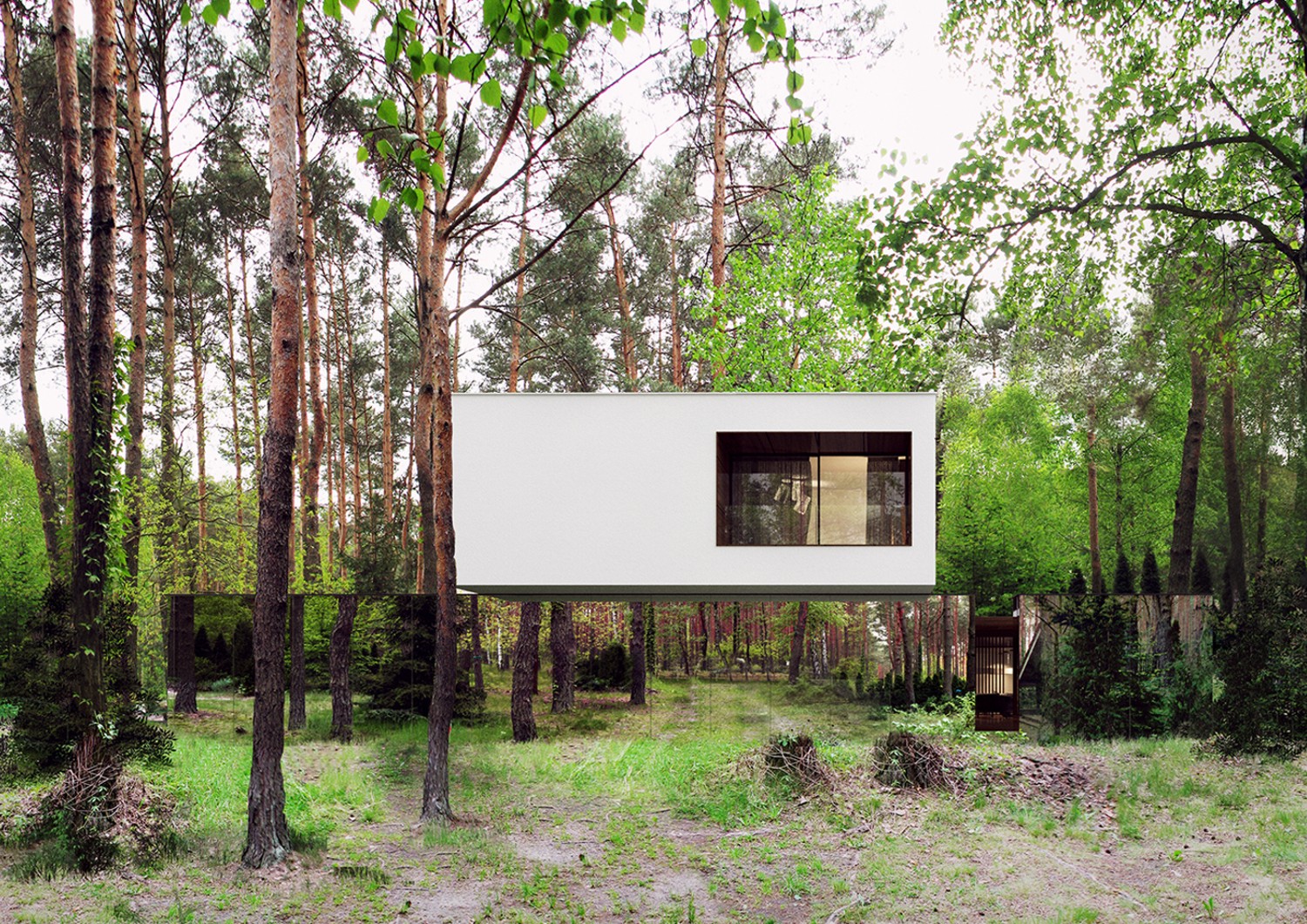 Зеркальный дом, «растворившийся» в лесу