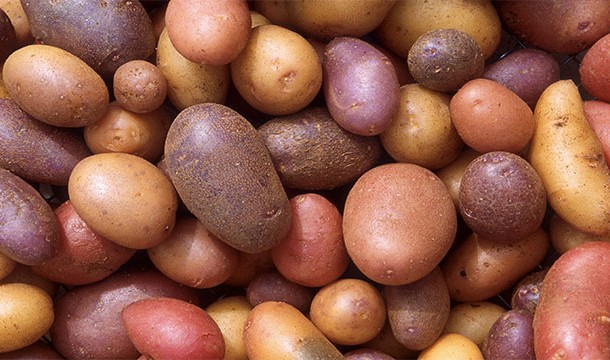 25 интересных фактов о Франции 25 интересных фактов о Франции