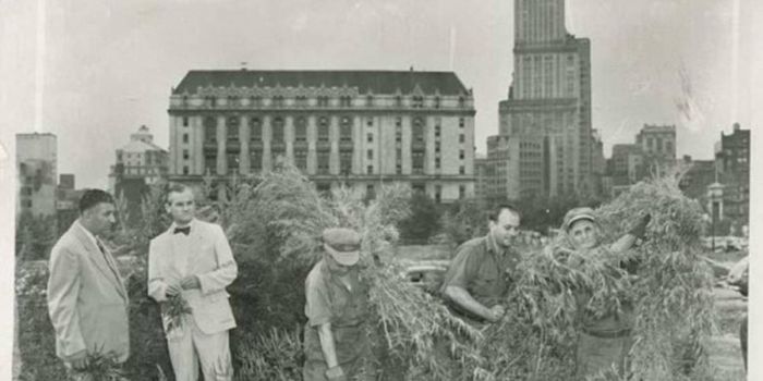 Подборка редких фотографий со всего мира Подборка редких фотографий со всего мира