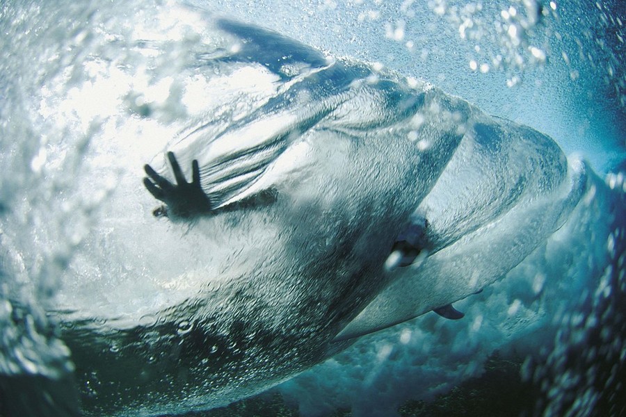 Red Bull Illume отмечает юбилей Red Bull Illume отмечает юбилей