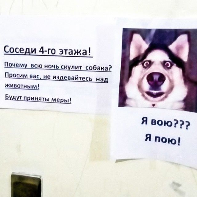 В нашем доме поселился замечательный сосед В нашем доме поселился замечательный сосед