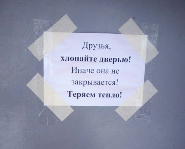 В нашем доме поселился замечательный сосед В нашем доме поселился замечательный сосед