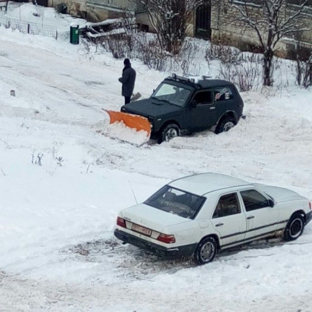 В нашем доме поселился замечательный сосед В нашем доме поселился замечательный сосед