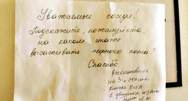 В нашем доме поселился замечательный сосед В нашем доме поселился замечательный сосед