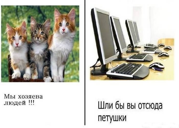 Смешные комиксы
