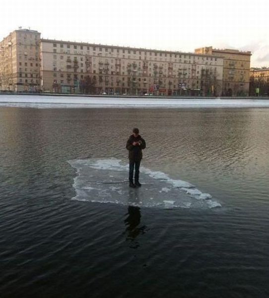 Прикольные картинки (50 фото)