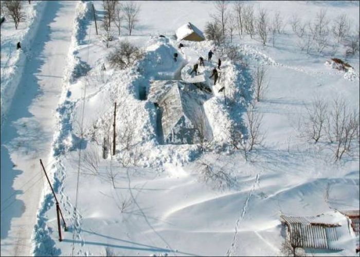 Прикольные картинки